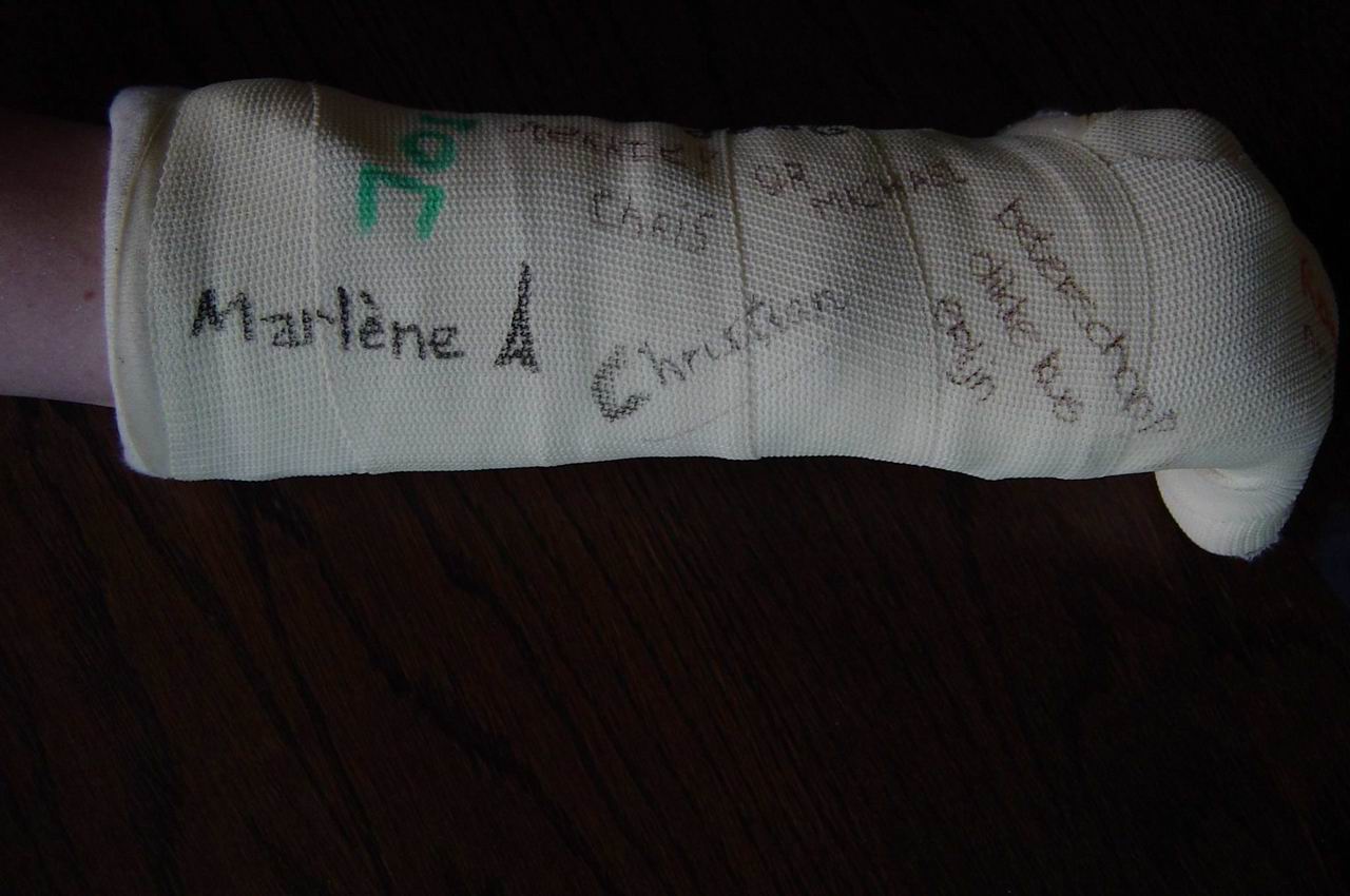 Gips1 (114K)