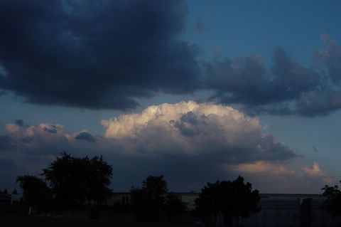 DSC06773.JPG