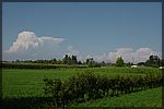 DSC06771.JPG