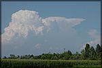DSC06772.JPG
