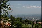 DSC06947.JPG