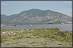 DSC06979.JPG