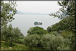 DSC06991.JPG