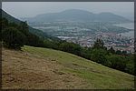 DSC06997.JPG
