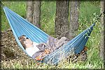 DSC07012.JPG