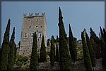 DSC07095.JPG
