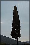 DSC07096.JPG
