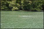 DSC07098.JPG