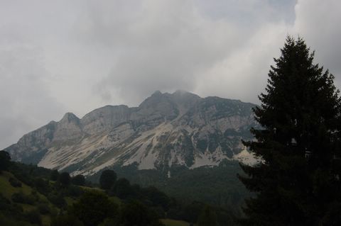 DSC07106.JPG