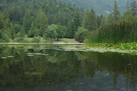 DSC07109.JPG