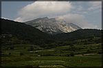 DSC07105.JPG