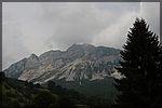 DSC07106.JPG