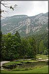 DSC07107.JPG