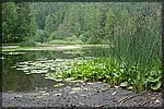 DSC07108.JPG