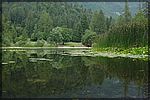 DSC07109.JPG