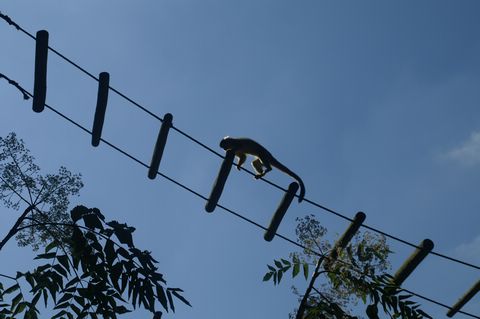 PICT2782.JPG