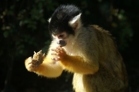 PICT2897.JPG