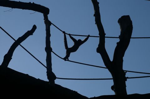 PICT2922.JPG