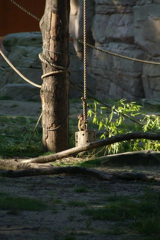 PICT2949.JPG