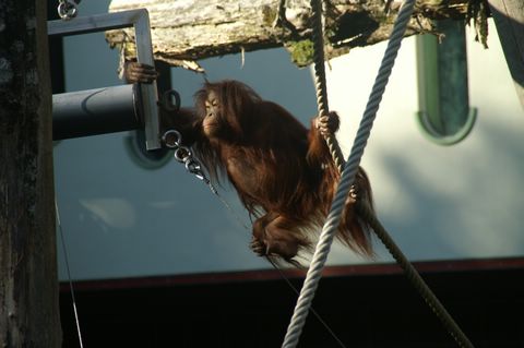 PICT2959.JPG