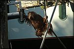 PICT2959.JPG