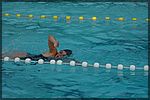DSC08332.JPG