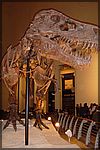 Chicago2005 (42).JPG