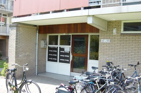 DSC05770.JPG