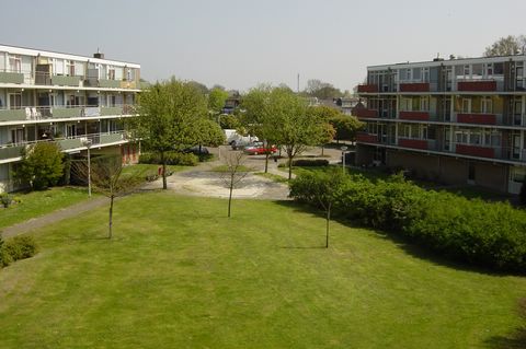 DSC05775.JPG