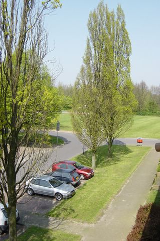 DSC05777.JPG