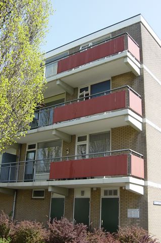 03.DSC05754.JPG