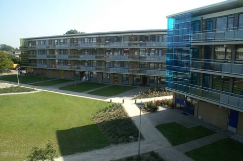 11.PICT2989.JPG
