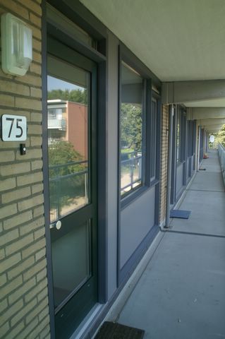PICT3012.JPG