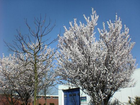 DSC00213.JPG