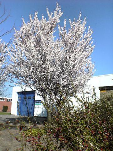 DSC00214.JPG
