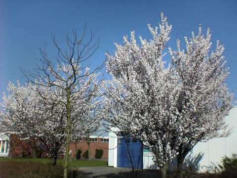 DSC00216.JPG