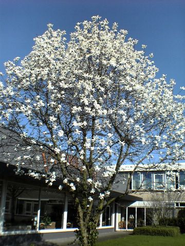 DSC00218.JPG