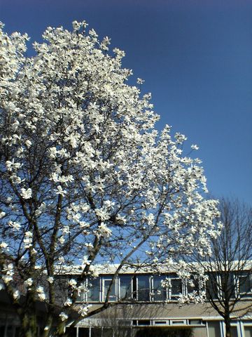 DSC00219.JPG