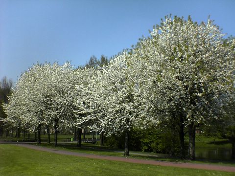 DSC00229.JPG