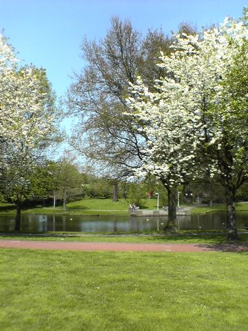 DSC00231.JPG