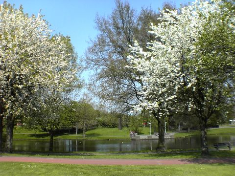 DSC00232.JPG