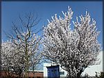 DSC00213.JPG