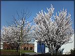 DSC00216.JPG
