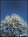DSC00217.JPG