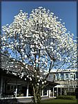 DSC00218.JPG