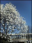 DSC00219.JPG