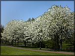 DSC00229.JPG