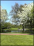 DSC00231.JPG