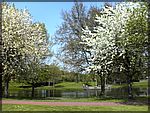 DSC00232.JPG