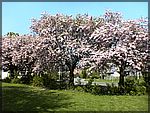 DSC00235.JPG